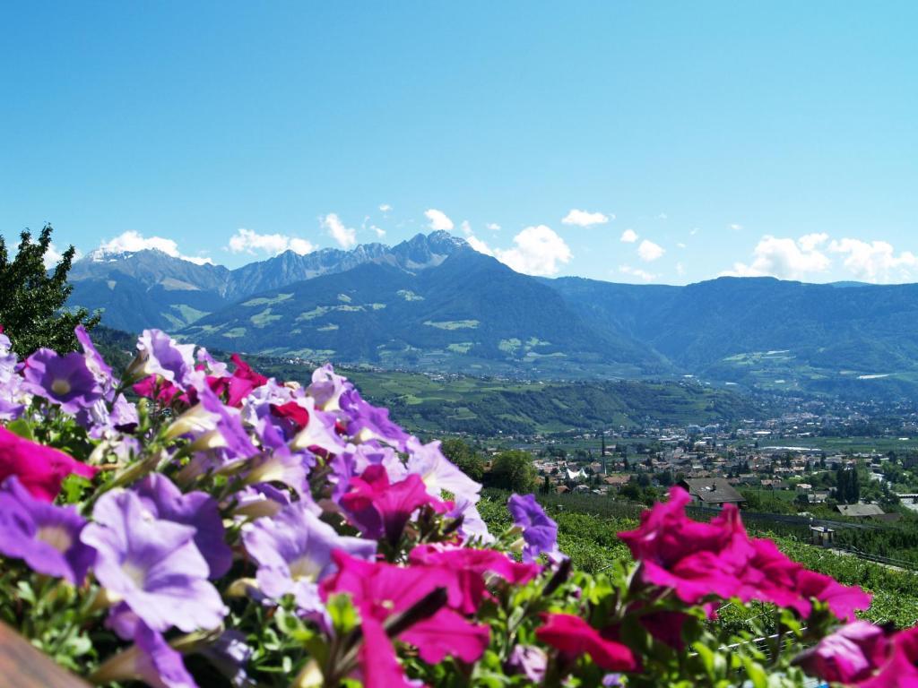 Pension Alpenblick Lagundo Zewnętrze zdjęcie